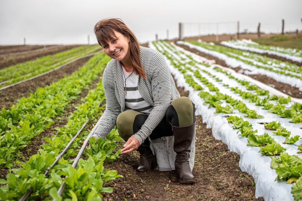 Banco da Família e JuST Institute: parceria que fortalece a inclusão, a sustentabilidade e o impacto social